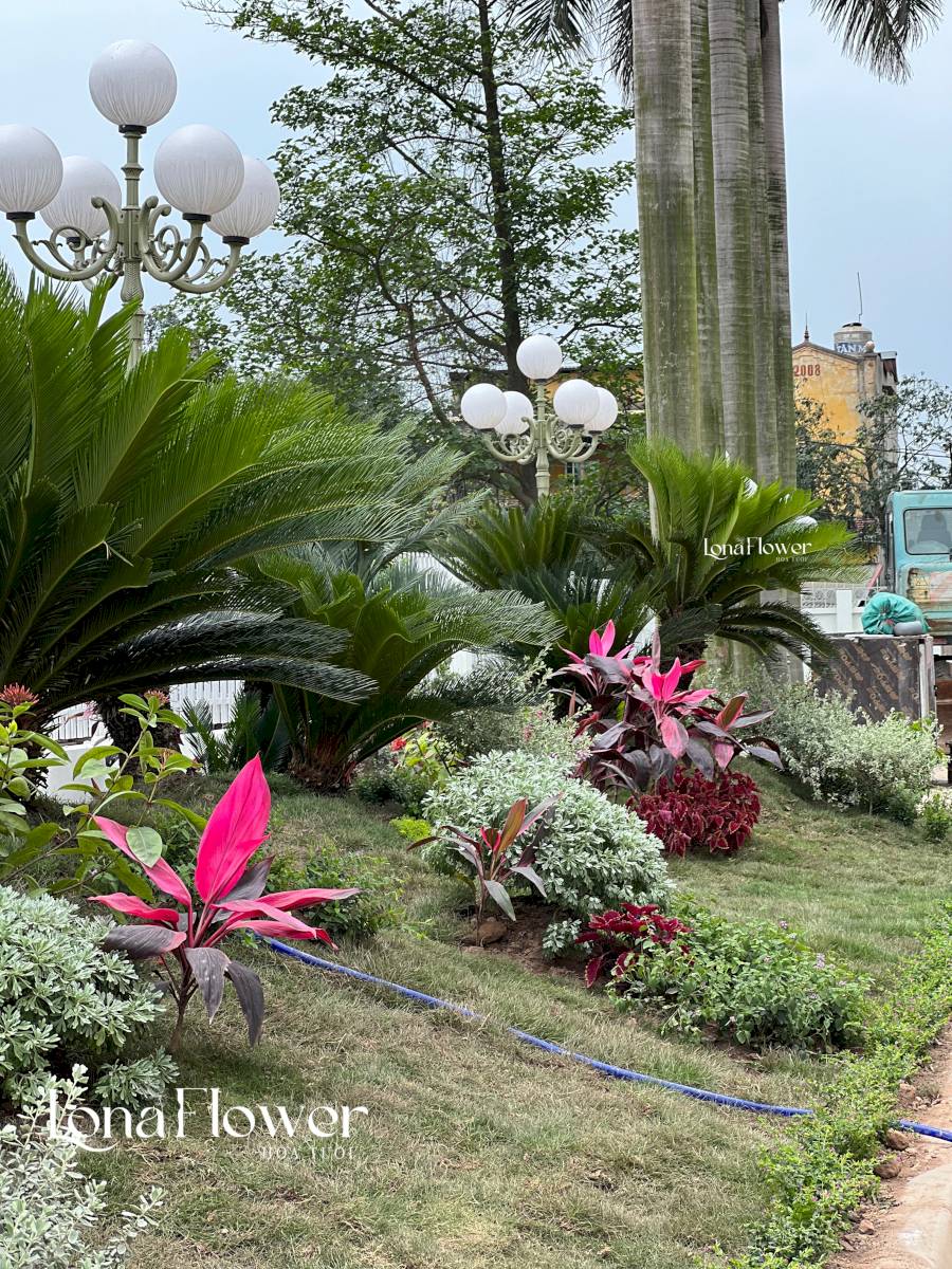 Phủ xanh không gian làm việc 