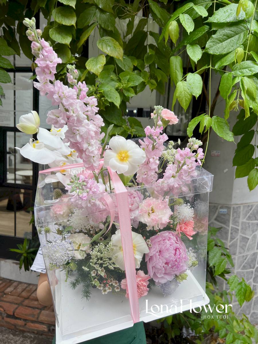 Mẫu hộp bánh kem mới lạ, tone màu pastel ngọt ngào